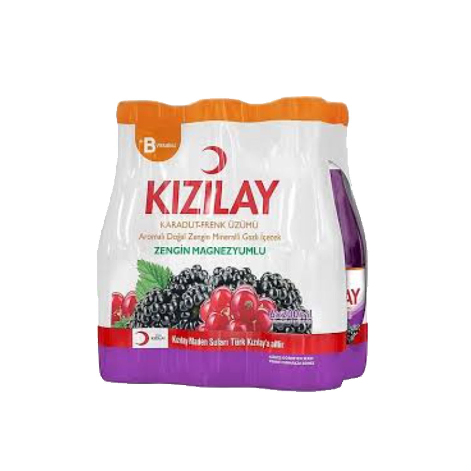 Kızılay Maden Suyu 6'lı Karadut 200 ml